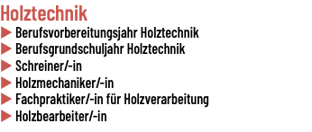 Holztechnik u Berufsvorbereitungsjahr Holztechnik u Berufsgrundschuljahr Holztechnik u Schreiner/-in u Holzmechaniker/-in u Fachpraktiker/-in für Holzverarbeitung u Holzbearbeiter/-in