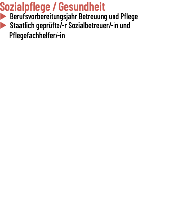 Sozialpflege / Gesundheit u Berufsvorbereitungsjahr Betreuung und Pflege u Staatlich geprüfte/-r Sozialbetreuer/-in und Pflegefachhelfer/-in 